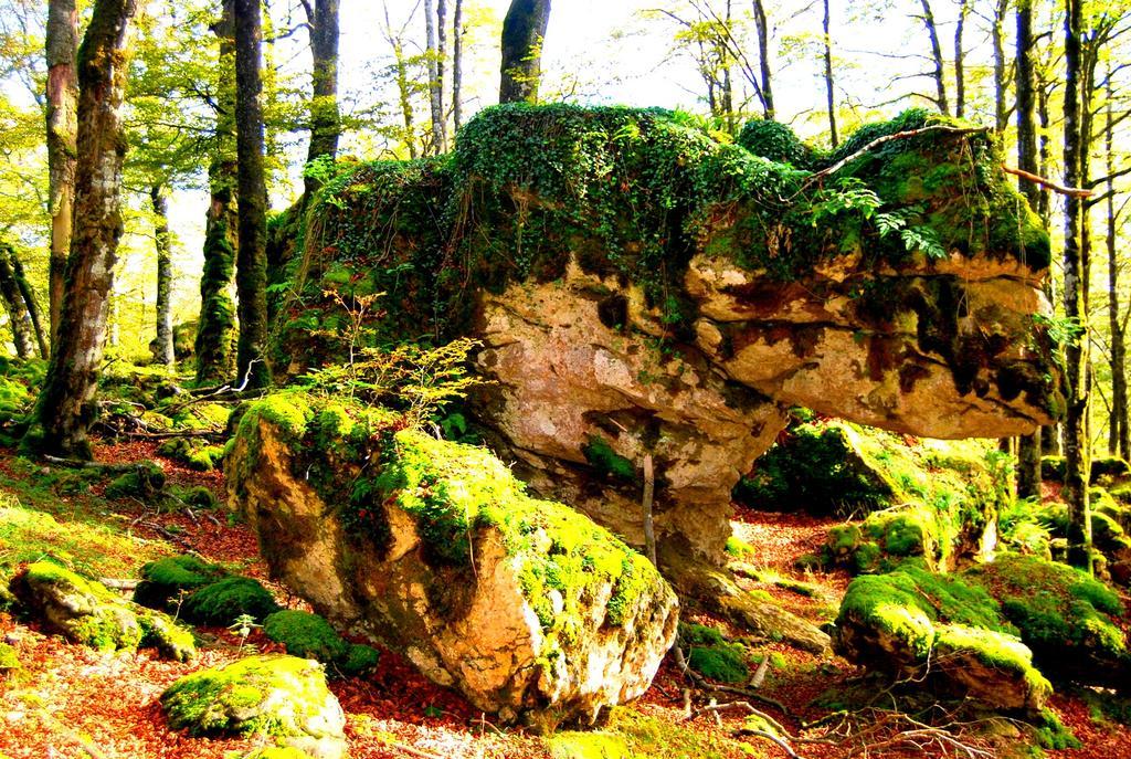 La Aldaia De Urbasa Eulate Exterior foto