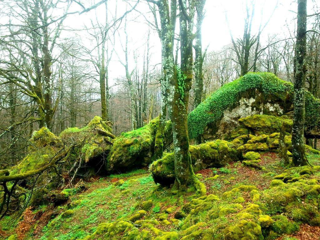 La Aldaia De Urbasa Eulate Exterior foto